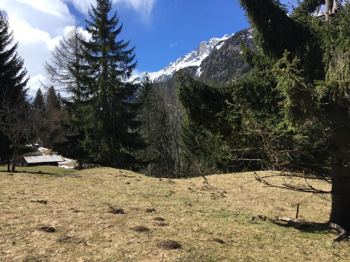 Chalet Le Триент Екстериор снимка