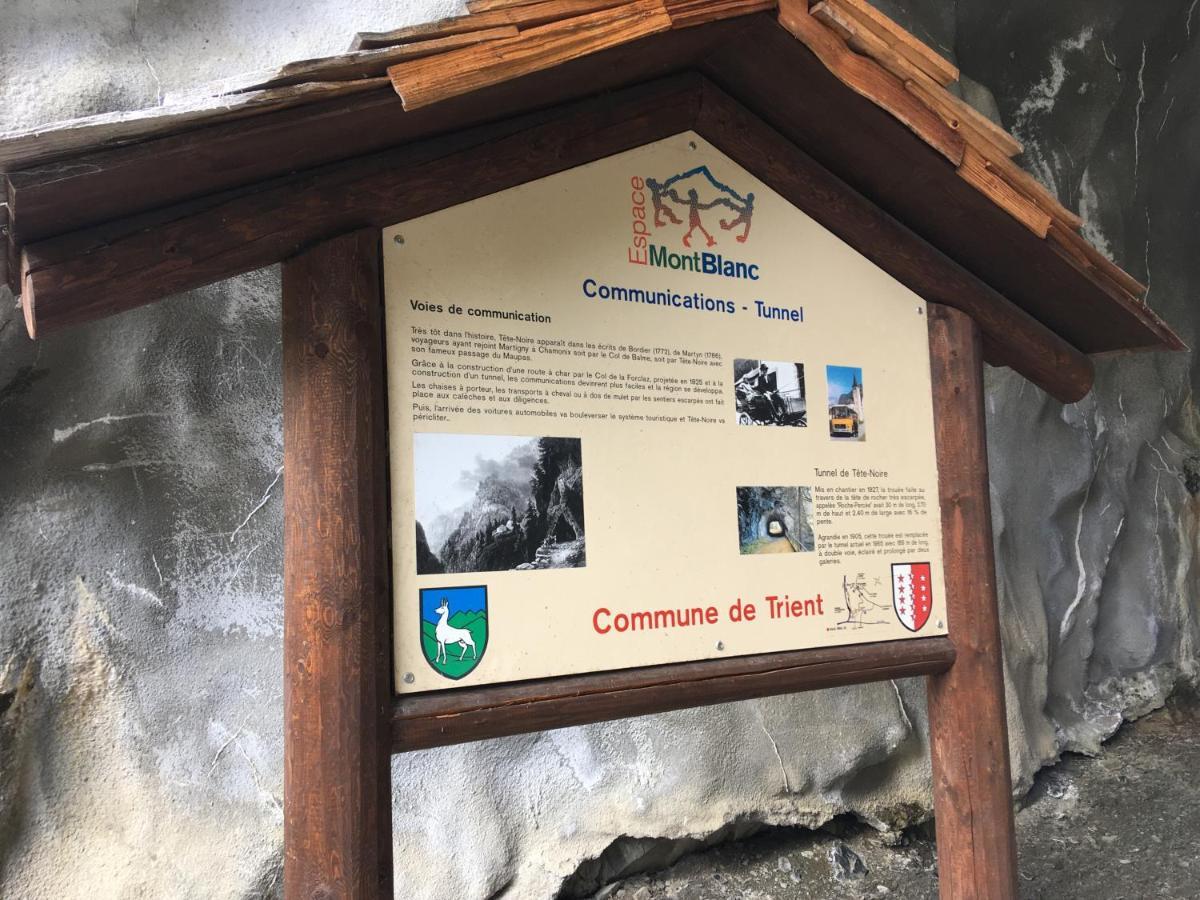 Chalet Le Триент Екстериор снимка
